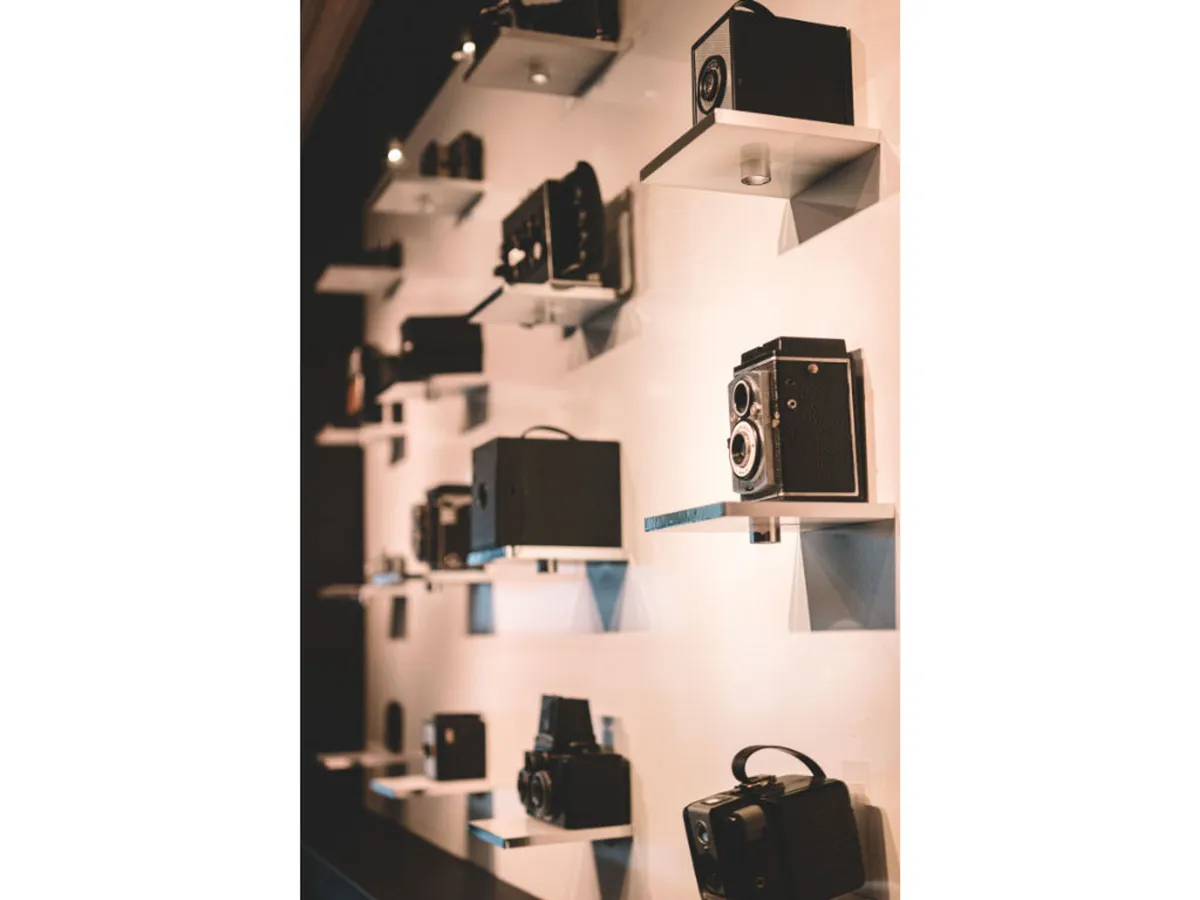 A display of vintage cameras neatly arranged on shelves, set in a softly lit area that evokes nostalgia and contemplation. This close-up emphasizes photography’s historical significance and invites curiosity about the stories behind each piece.